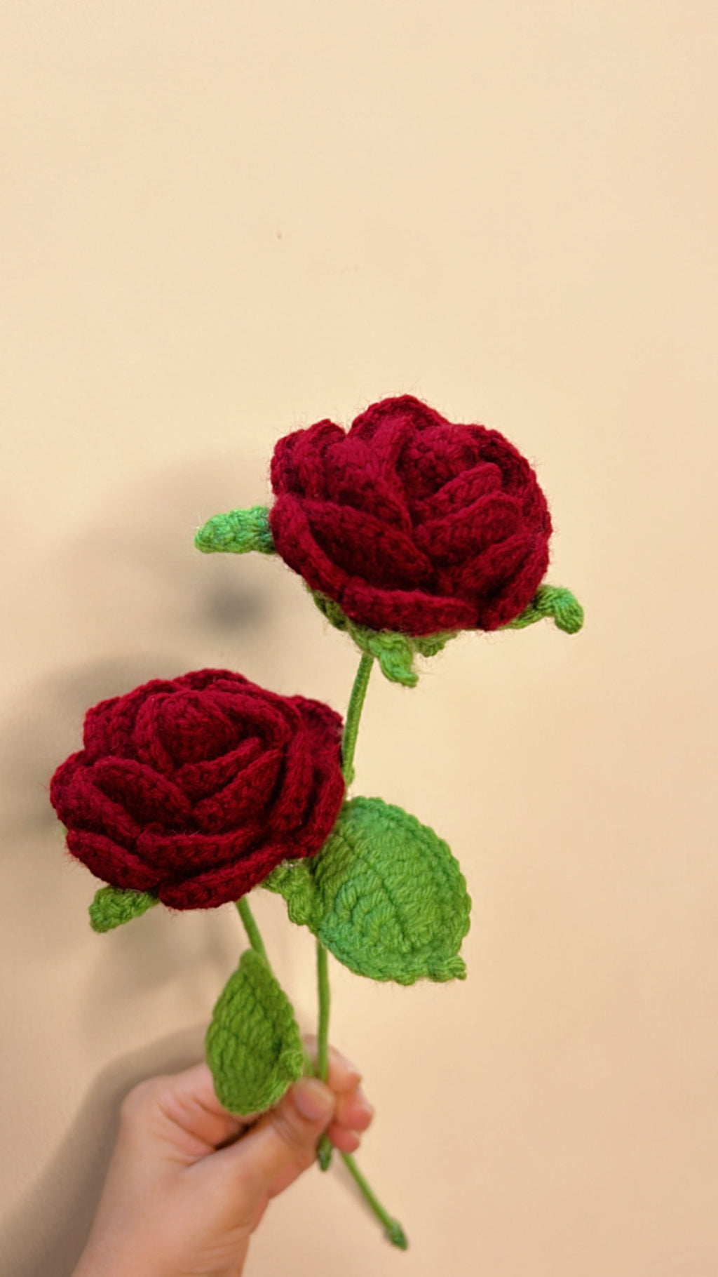Regular Rose (Single)