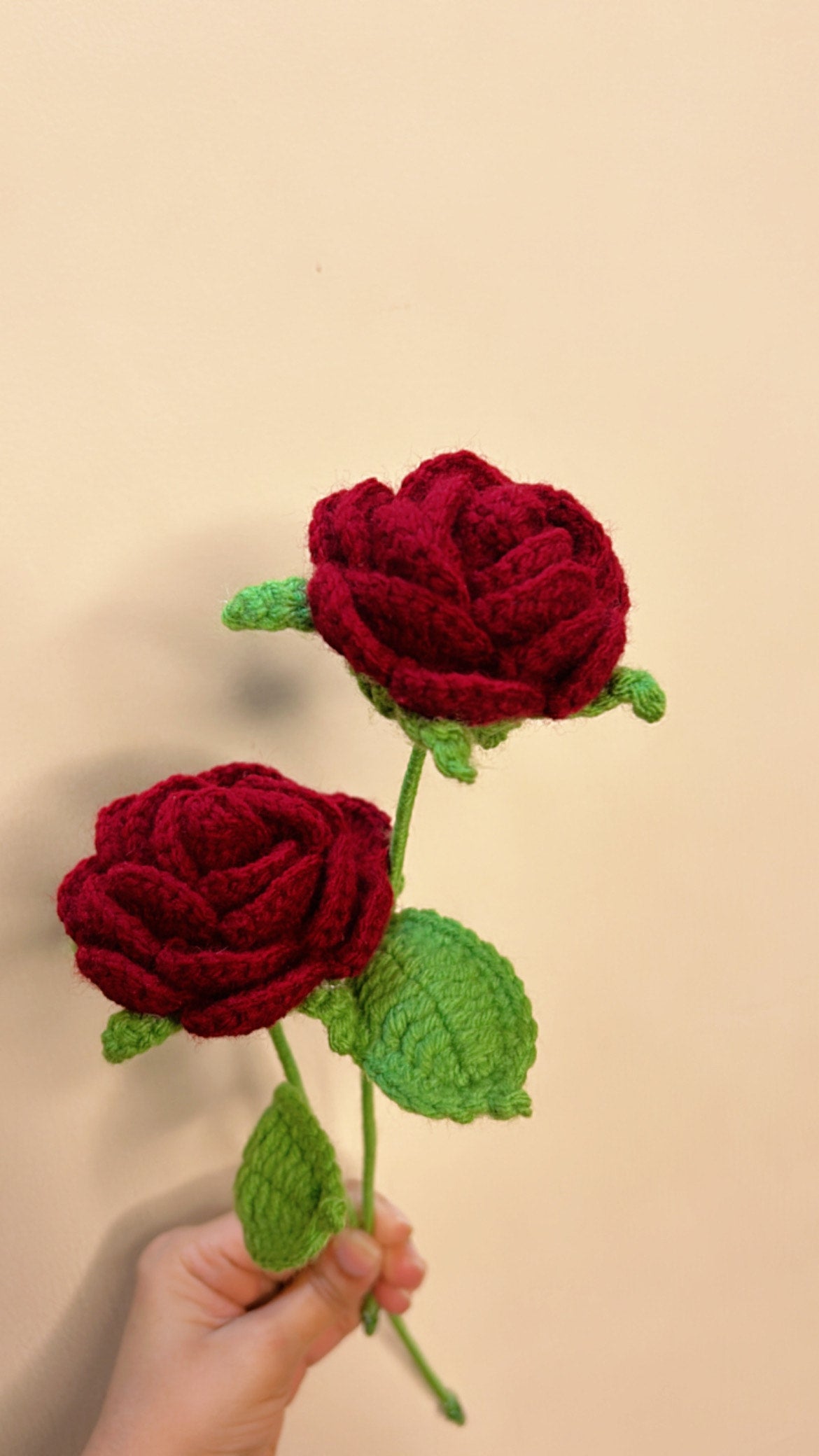 Regular Rose (Single)