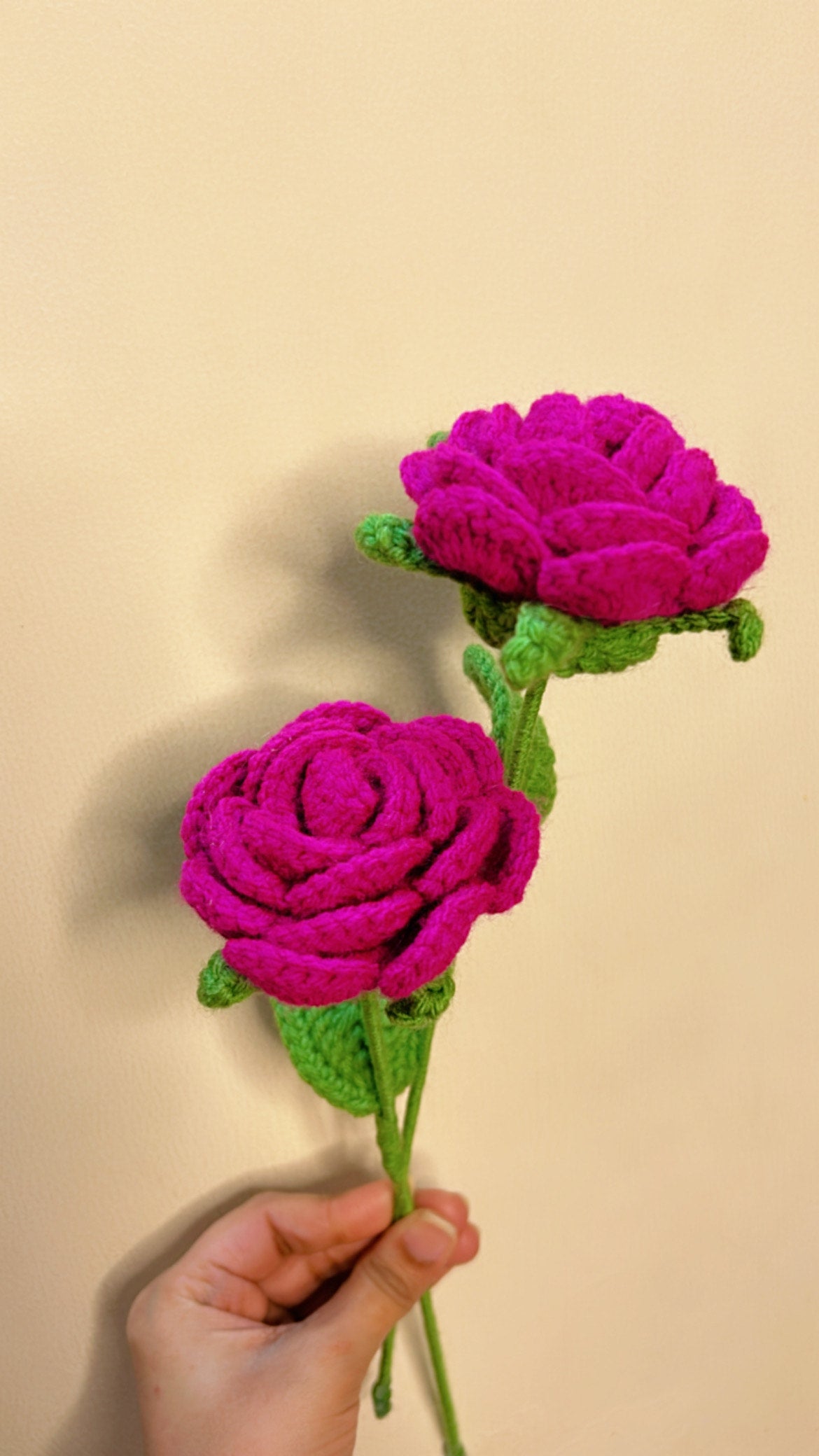 Regular Rose (Single)