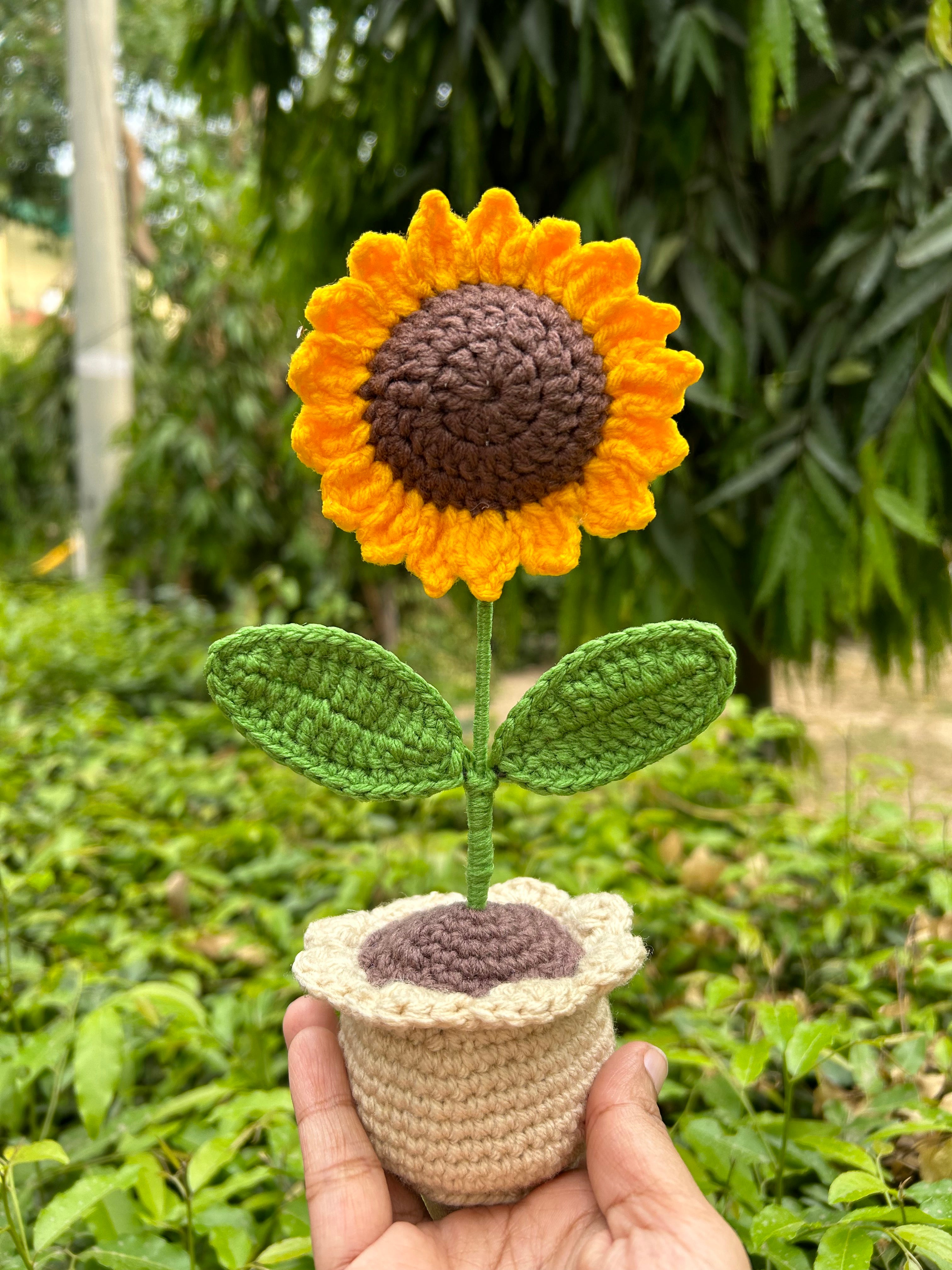 Pointed Petal Sunflower Pot