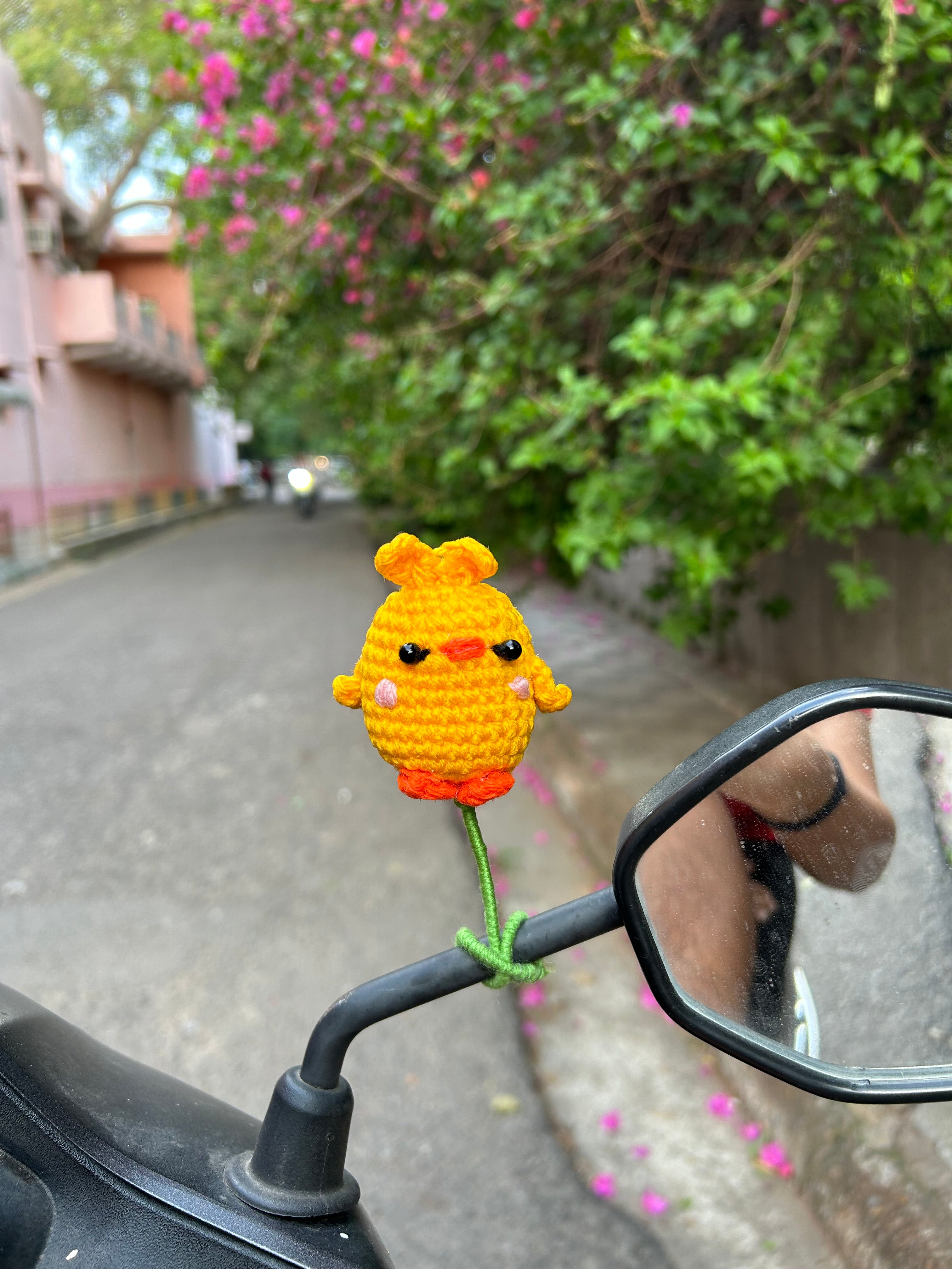 Chickie Scooty Charm