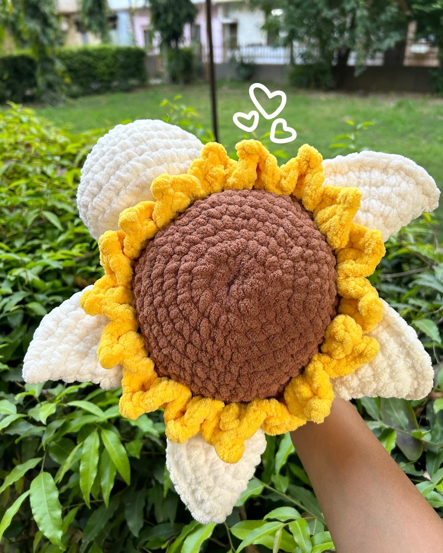 Sunflower Turtle