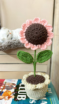 Pink Sunflower Pot