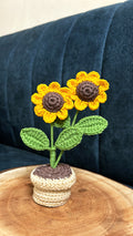 2 Sunflower Mini Pot