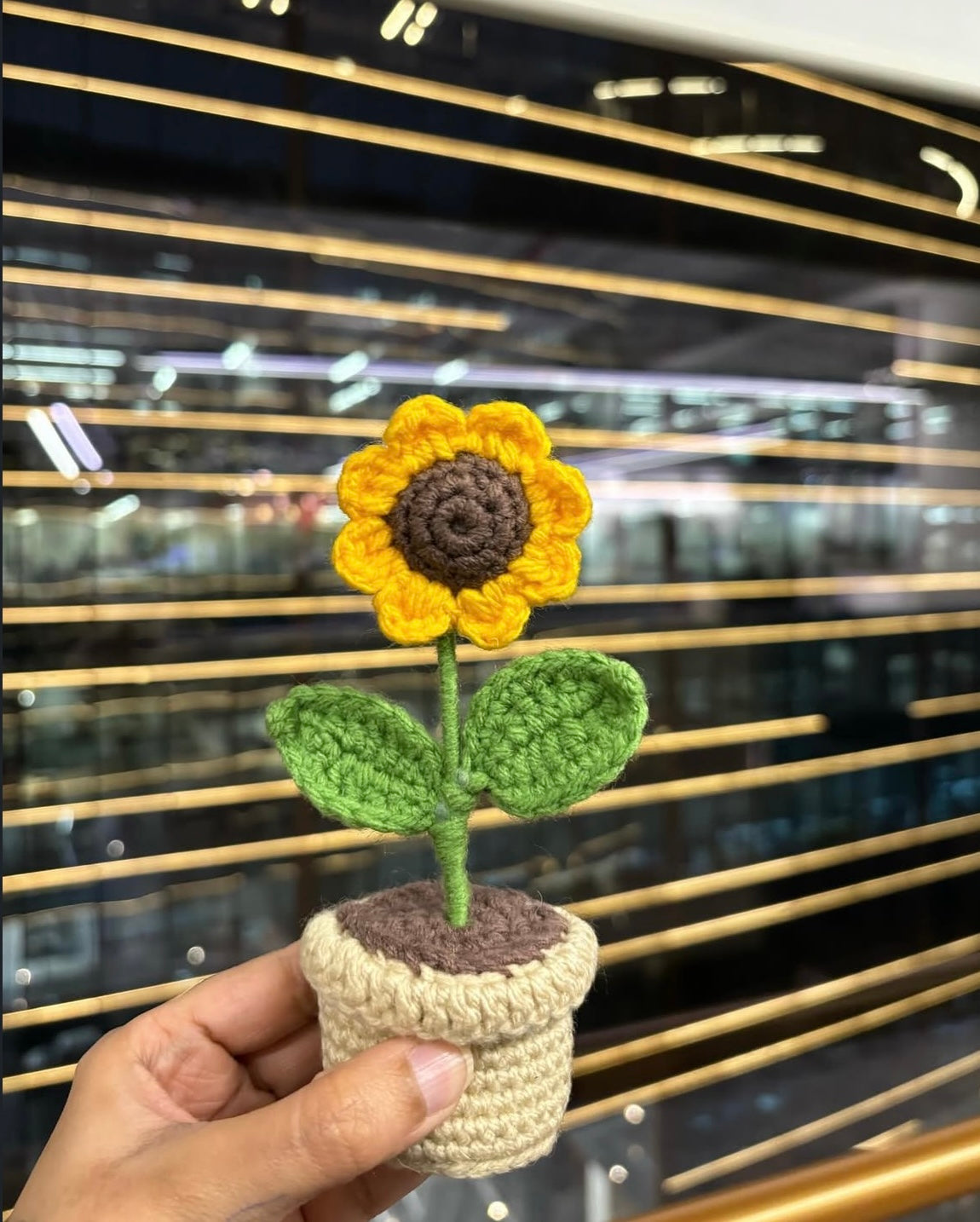Small Sunflower Pot