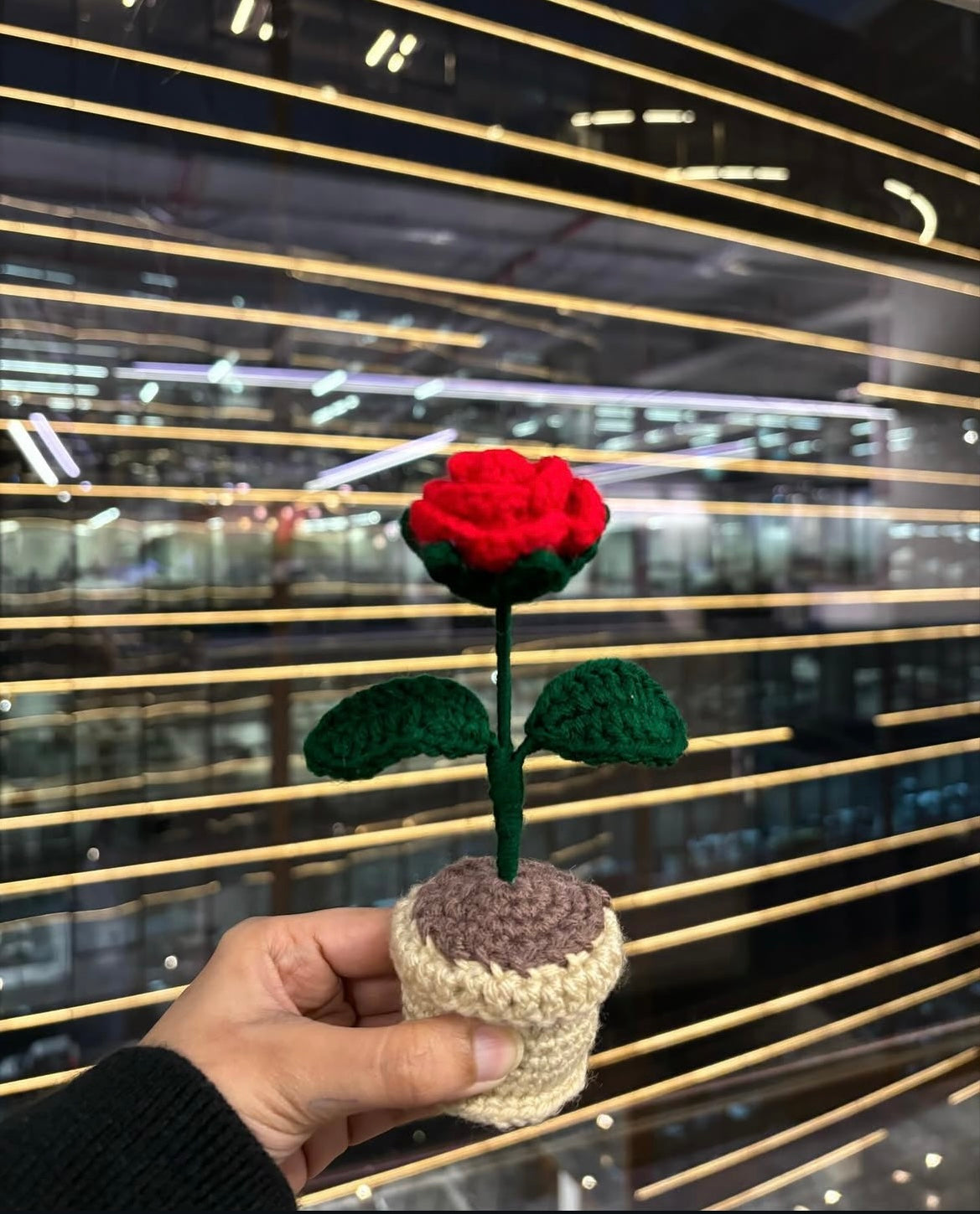 Small Rose Pot