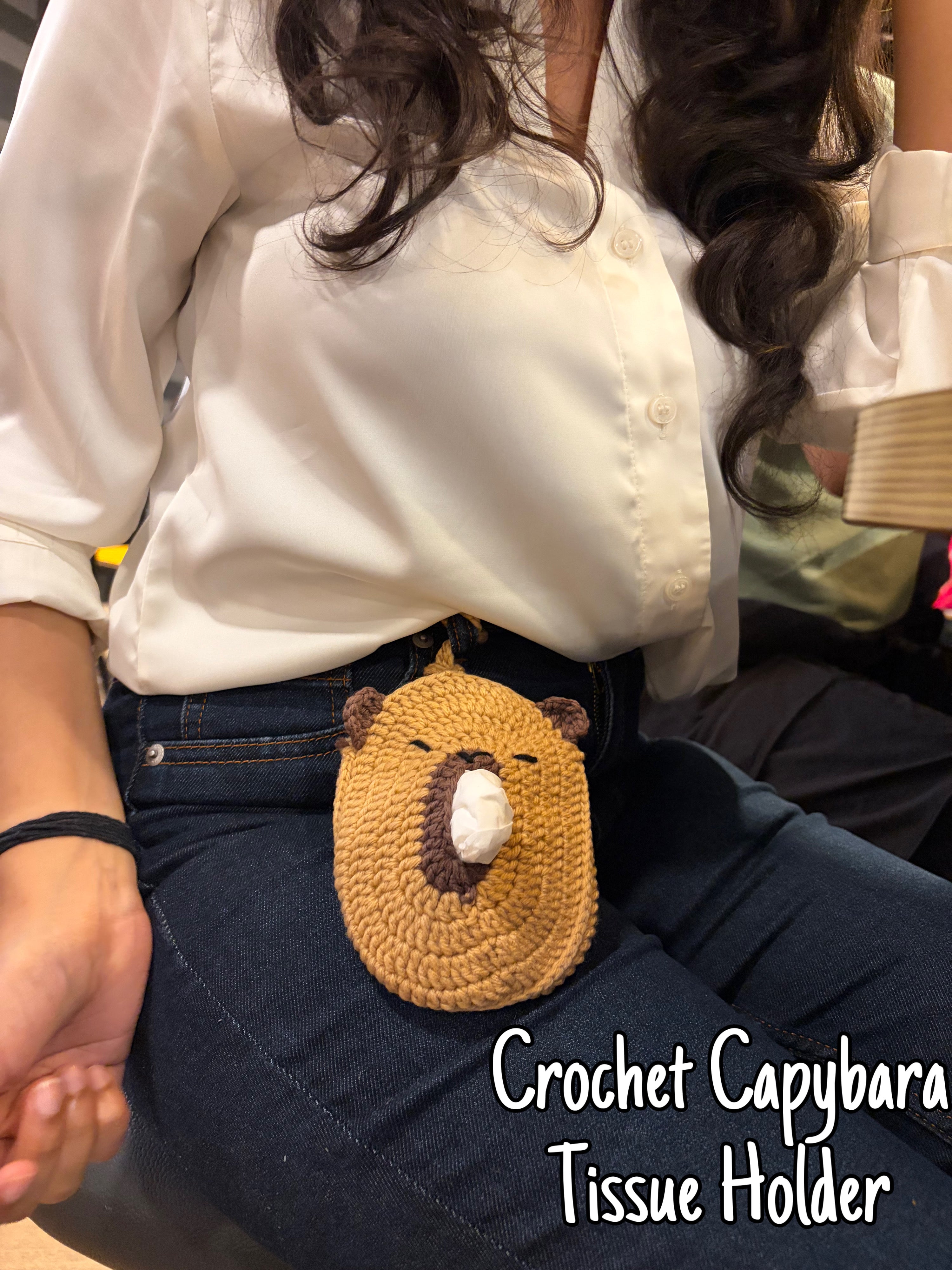 Capybara Tissue Holder